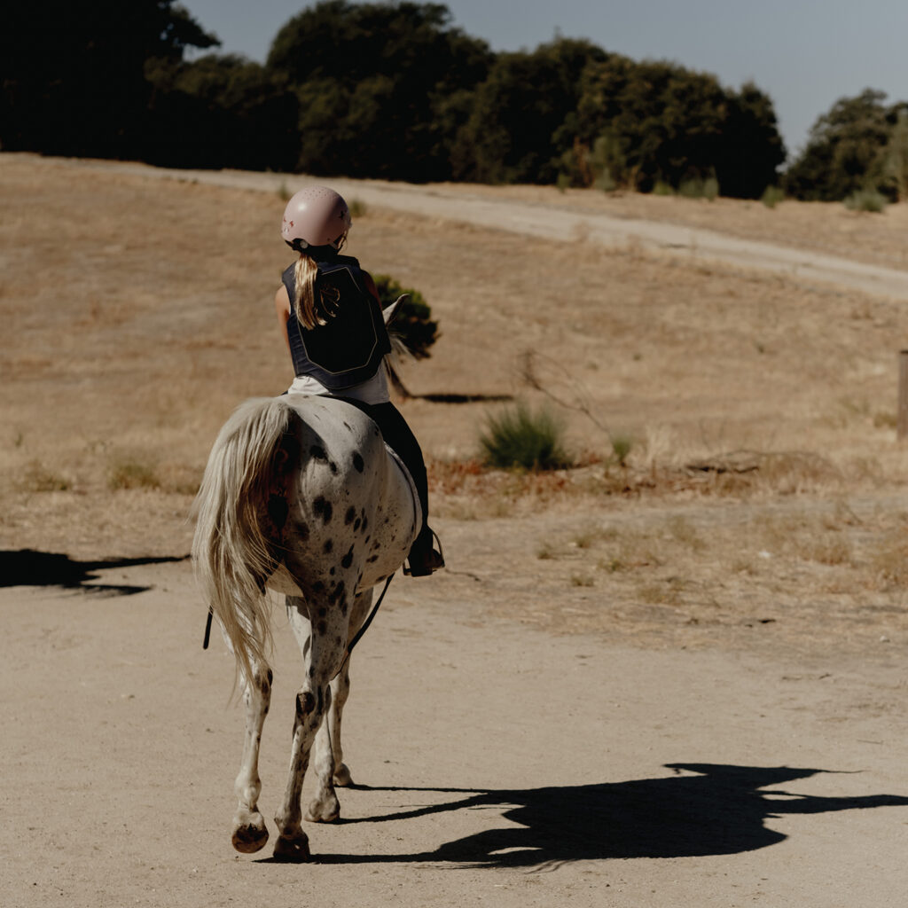 Paseos y rutas a caballo