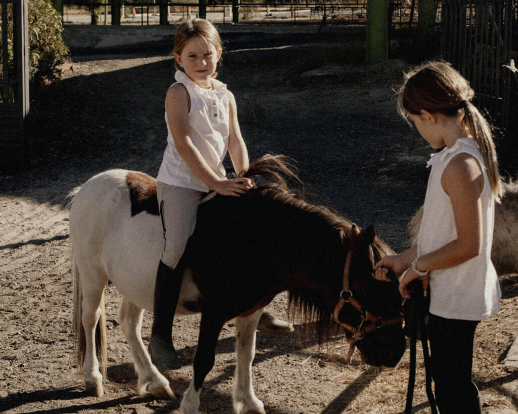Fiestas infantiles caballos