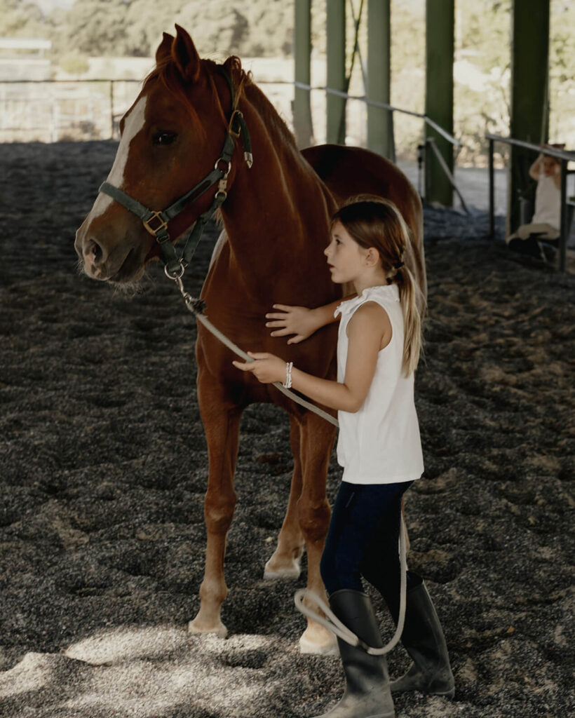 Campamento con caballos